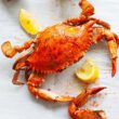 Blue Crab