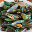 Mossels Greenshell